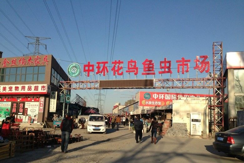 沈阳水族批发市场（沈阳水族市场特色鱼类）