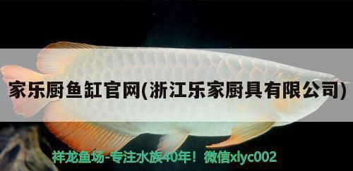 立体式鱼缸水泵（如何测试鱼缸水泵性能） 龙鱼百科 第6张