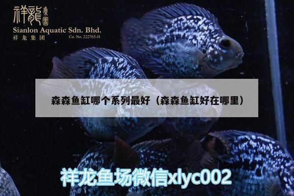 森森鱼缸排名第几（森森鱼缸与其他品牌的比较） 龙鱼百科 第3张