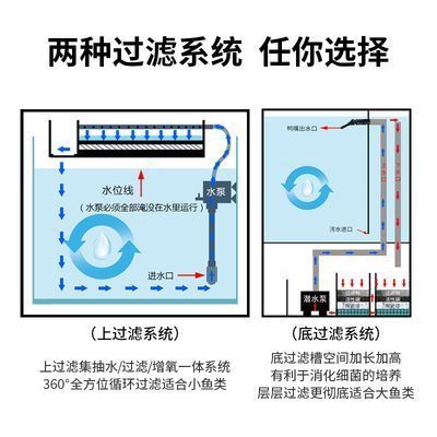 龙鱼缸水位高度（龙鱼缸双水位设计操作） 龙鱼百科 第2张