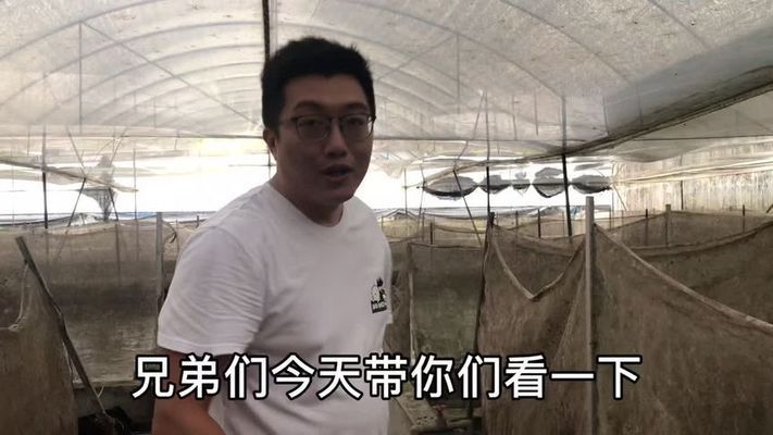 杭州金龙鱼热带鱼养殖基地在哪里啊最近（杭州金龙鱼热带鱼养殖基地位于杭州市萧山区临浦街道） 龙鱼百科 第3张