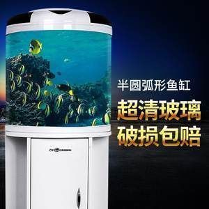 金龙鱼生活环境布置技巧（如何布置金龙鱼的生活环境？） 水族问答