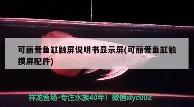 可丽爱鱼缸显示屏怎么调颜色（可丽爱鱼缸显示屏故障排查如何校准可丽爱鱼缸定时器设置教程） 龙鱼百科 第3张