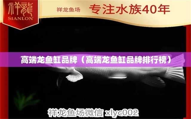 顶级龙鱼缸品牌（2024年顶级龙鱼缸品牌推荐） 龙鱼百科 第4张