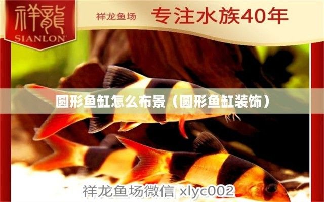 广州沛森园林景观设计有限公司清远分公司（广州沛森园林景观设计有限公司） 广州景观设计