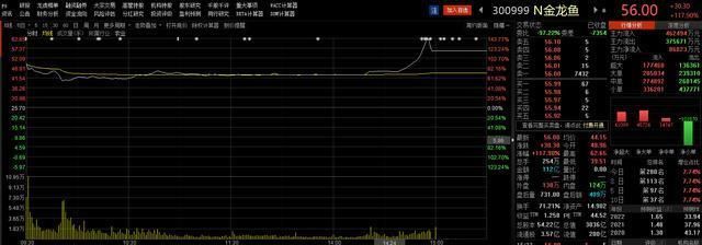 金龙鱼值钱吗？（金龙鱼在国外并不值钱，） 龙鱼百科 第4张