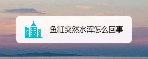 鱼缸水突然浑浊怎么回事视频大全（如何判断硝化系统崩溃鱼缸过滤器选择指南鱼缸光照管理技巧鱼缸水质检测方法） 龙鱼百科 第6张