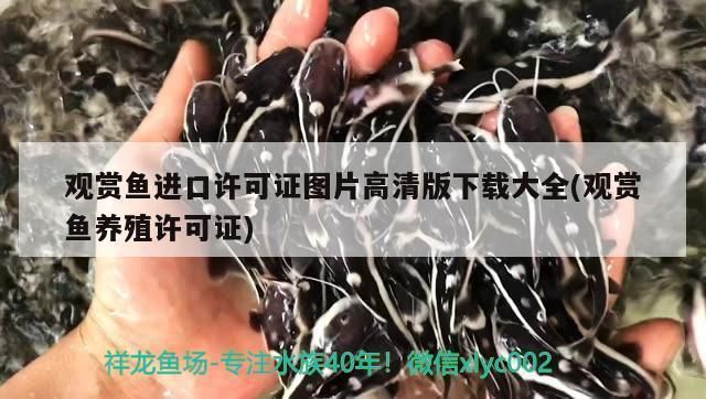 森森鱼缸数字显示屏怎么安装图解（森森鱼缸数字显示屏安装图解）