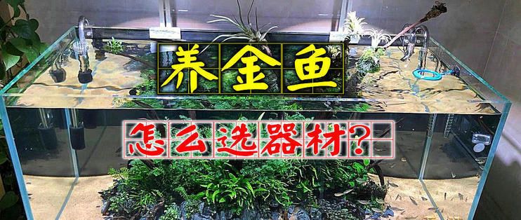 澜沧荣发水族鱼具店（云南澜沧荣发水族鱼具店澜沧荣发水族鱼具店详细介绍）