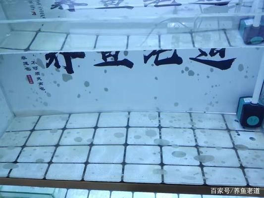 嘉峪关龙宫水族馆（嘉峪关龙宫水族馆嘉峪关龙宫水族馆）