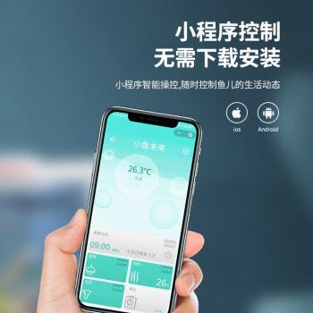 小鱼未来鱼缸（小鱼未来智能鱼缸有哪些特点） 龙鱼百科 第5张