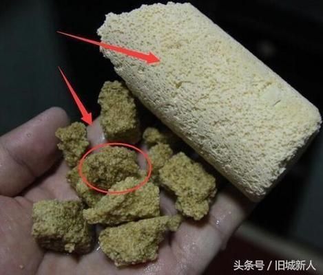 鱼缸不用经常换水办法视频（过滤设备选择指南鱼缸水质检测技巧） 龙鱼百科 第5张