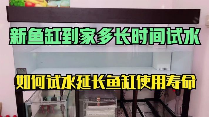 金龙鱼动态壁纸版权保护措施（金龙鱼动态壁纸的版权保护措施） 水族问答