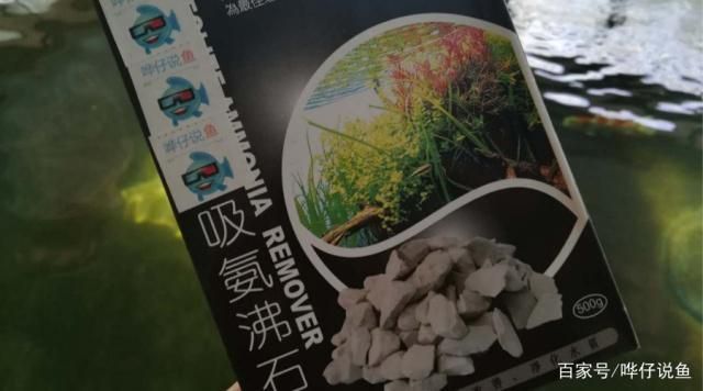 鱼缸水发白用硝化细菌可以吗视频（硝化细菌产品的选择指南） 龙鱼百科 第6张