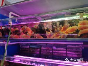 上海水族批发市场（水族批发市场营业时间,水族宠物养护知识）