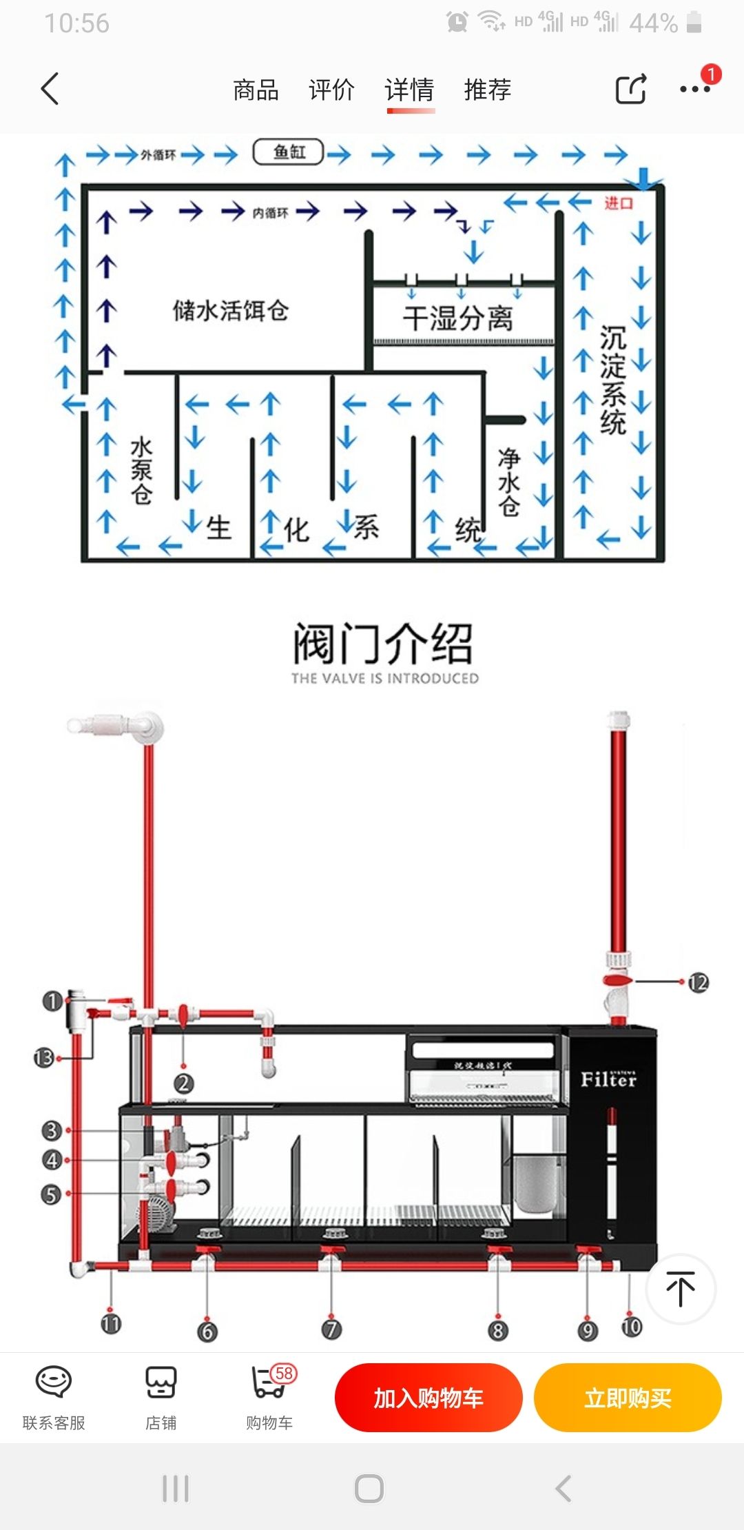 汕尾观赏鱼市场底滤 观赏鱼市场（混养鱼） 第2张