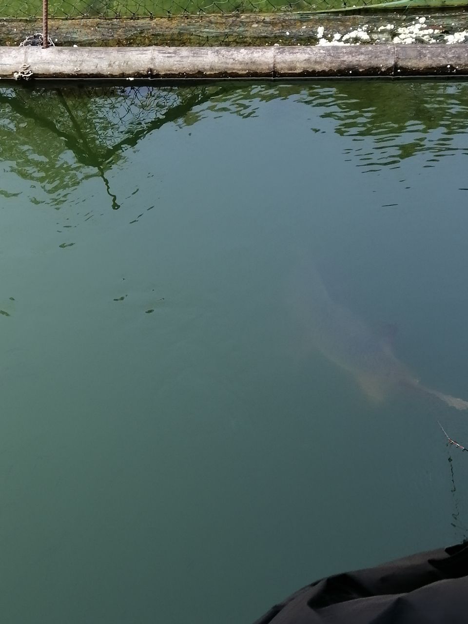 鹰潭水族馆养鱼和钓鱼是最爱的