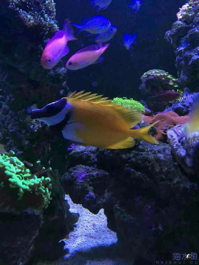 廊坊水族馆好久没有照片