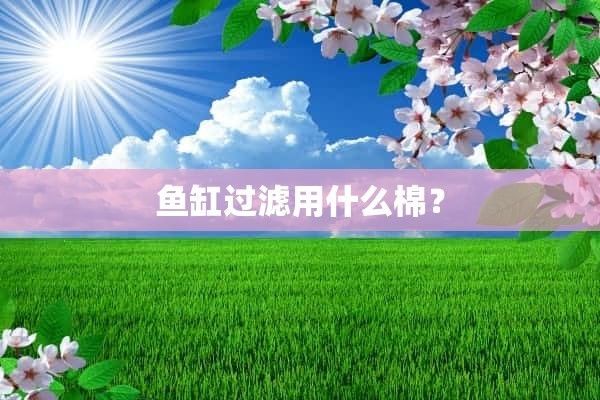 鱼缸用什么棉（如何判断鱼缸过滤棉的正确清洗方法） 龙鱼百科 第4张