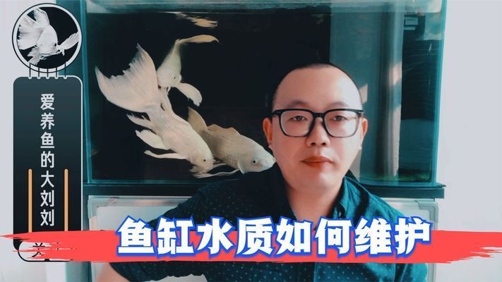 镇平县朋海观赏鱼养殖销售（河南省镇平县朋海观赏鱼养殖销售）