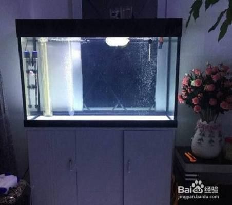 七星关区新概念水族馆（七星关区新概念水族馆,七星关区新概念水族馆详细介绍） 全国观赏鱼市场