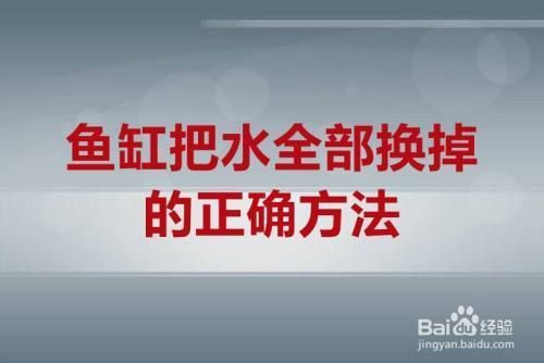 鱼缸全部换水的正确方法（鱼缸换水频率如何掌握） 龙鱼百科 第4张