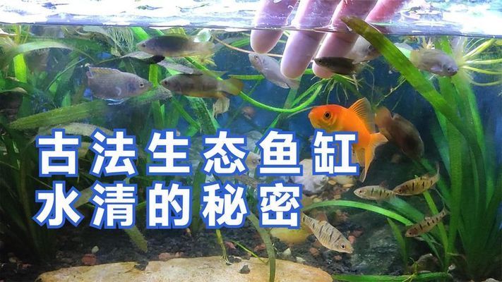 衡水九泽商贸有限公司（衡水九泽商贸有限公司经营产品：医疗用品及器材零售）