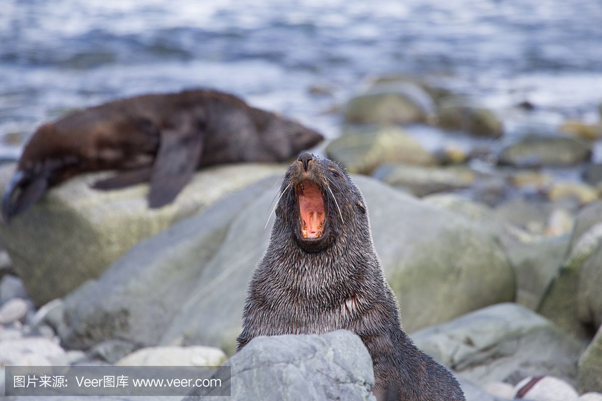 七台河水族馆恩爱的跨国婚姻