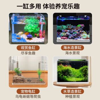 饶平县坤越泰斗水族馆（饶平县坤越泰斗水族馆经营产品：一般项目：宠物销售） 全国观赏鱼市场 第2张