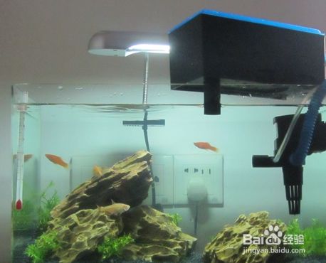 广州宜谦商贸店（广州宜谦商贸店广州宜谦商贸店） 水族周边 第2张