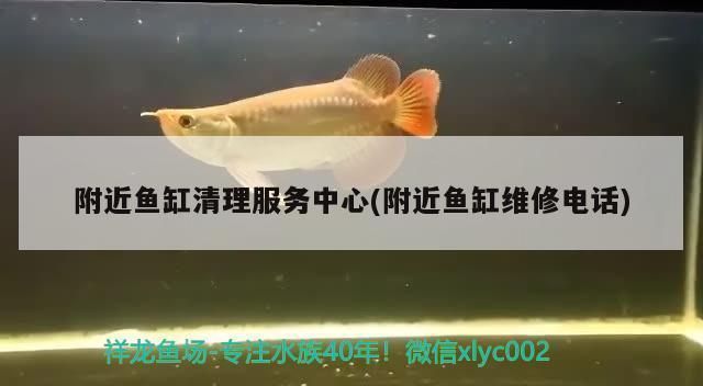 附近修鱼缸电话多少（如何选择专业的鱼缸维修服务） 龙鱼百科 第4张