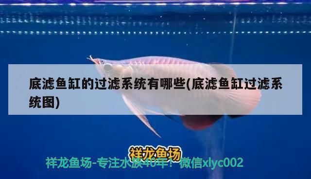 金龙鱼南昌工厂（金龙鱼南昌工厂在食品安全方面有哪些措施？） 水族问答