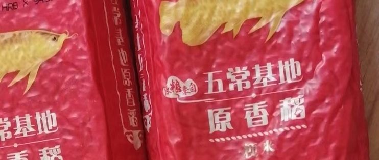 金龙鱼电子礼品卡钻石卡（淘淘收金龙鱼电子礼品卡钻石卡） 龙鱼百科 第2张