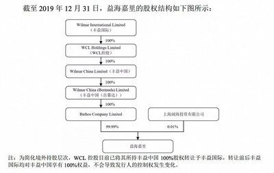 金龙鱼大股东是日本人吗（金龙鱼的大股东是日本人吗？） 龙鱼百科 第4张