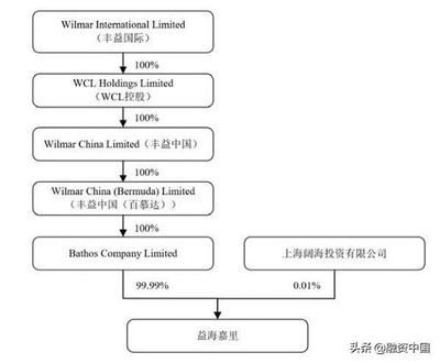 金龙鱼大股东是日本人吗（金龙鱼的大股东是日本人吗？） 龙鱼百科 第2张