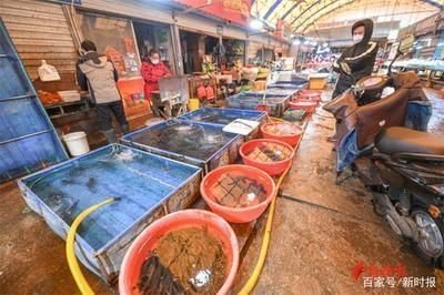 济南哪里有卖龙鱼的市场地址（济南水族市场价格对比龙鱼养殖技巧分享济南水族市场营业时间） 龙鱼百科 第3张