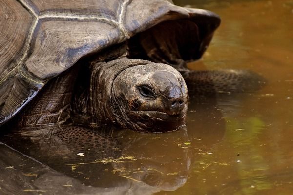 青白江大自然水族馆（成都市青白江大自然水族馆） 全国观赏鱼市场