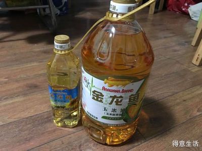 金龙鱼一瓶多少毫升（金龙鱼调味品搭配推荐） 龙鱼百科 第4张