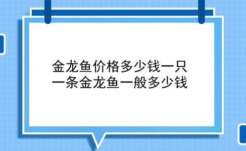 金龙鱼大概多少钱一只啊（金龙鱼2018年12月11日股票交易行情）