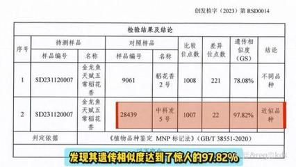 走进2019长城杯幕后英雄洪亮