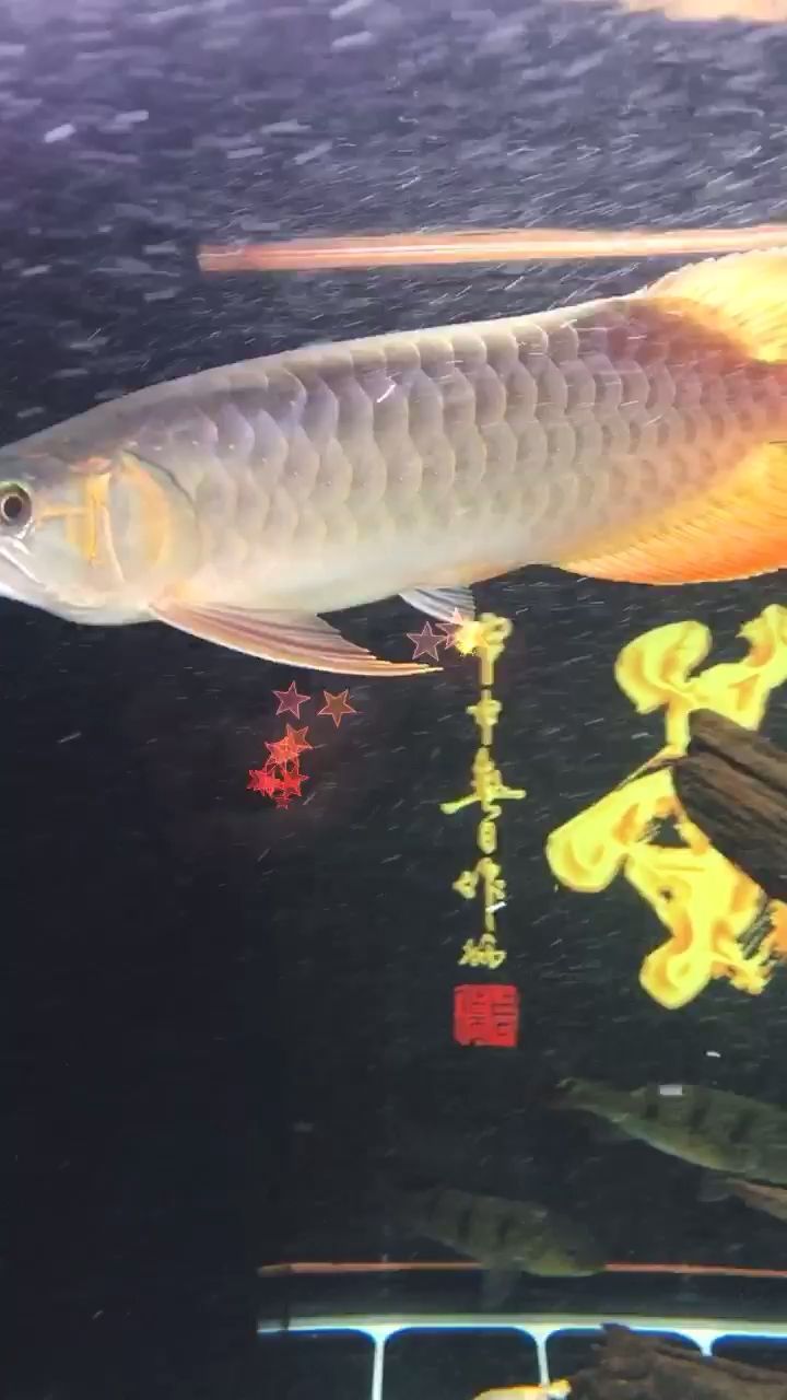 三亚水族馆这造浪是不是没放对位置