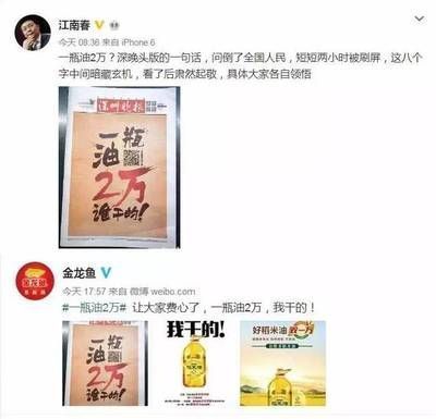 金龙鱼宣传片文案怎么写好（如何撰写金龙鱼宣传片文案）