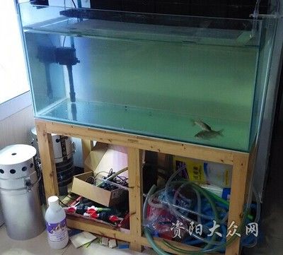 淮北水族馆独生子