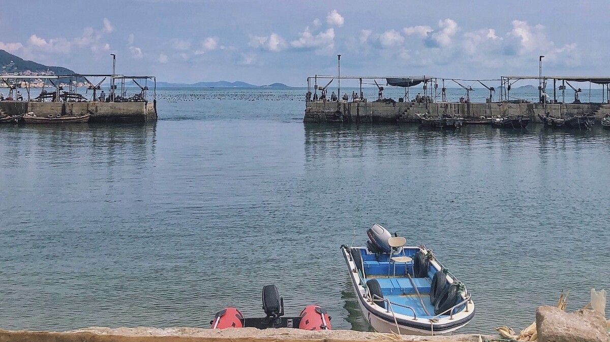 海西蒙古族藏族自治州水族馆坚持又是一天