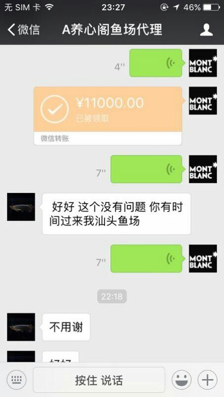 封杀骗子谢谢转发 黄金达摩鱼 第6张