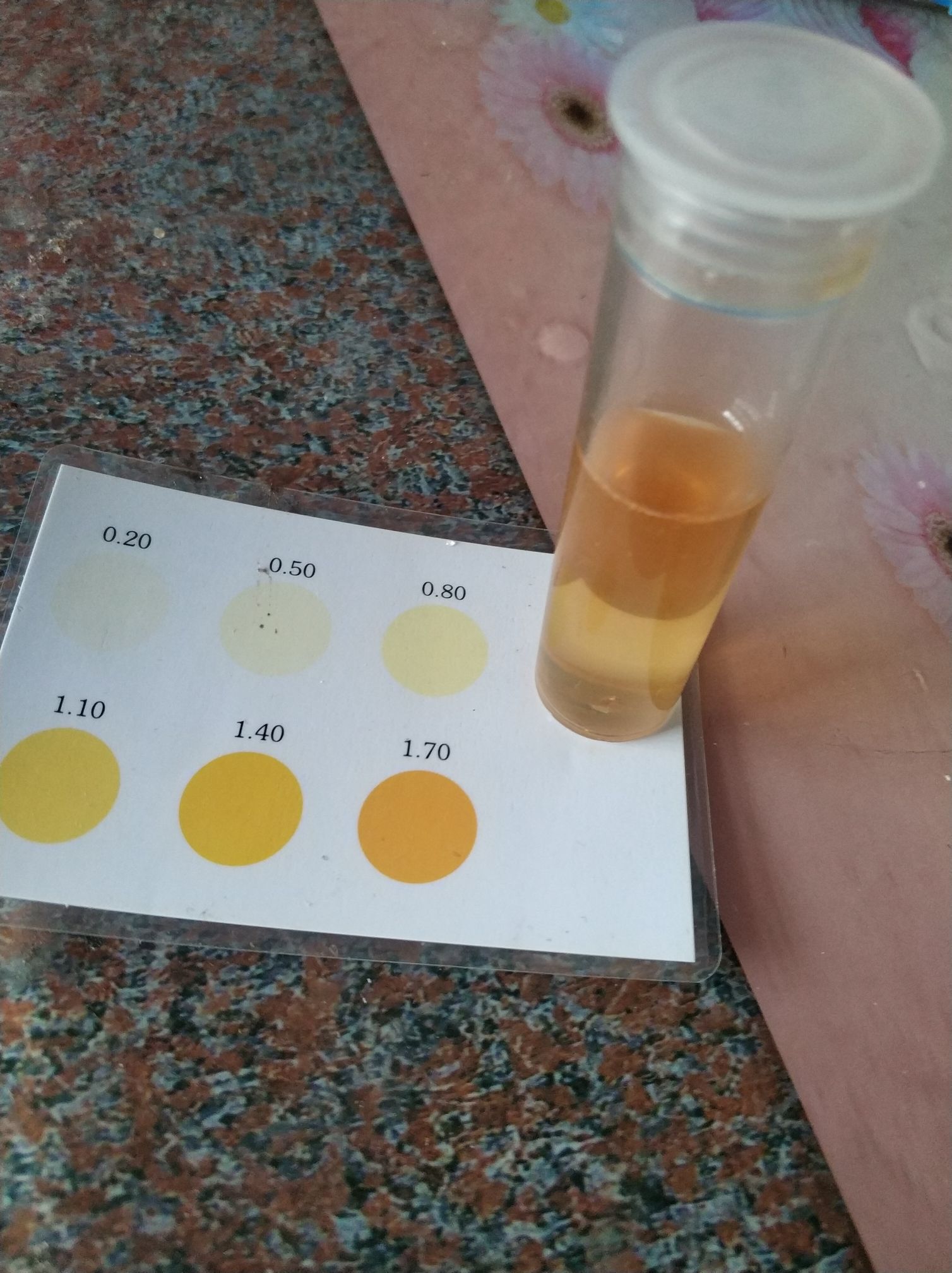 实测二氧化氯泡腾片对硝化细菌的影响