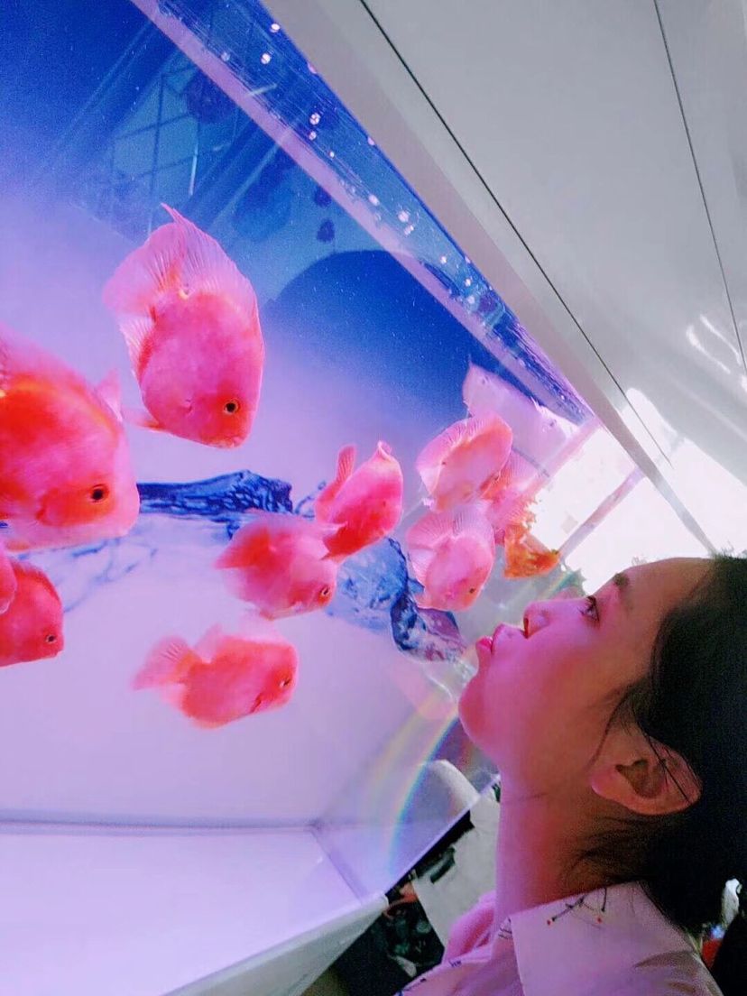 巢湖水族馆#情人节隔离病毒不隔离爱#