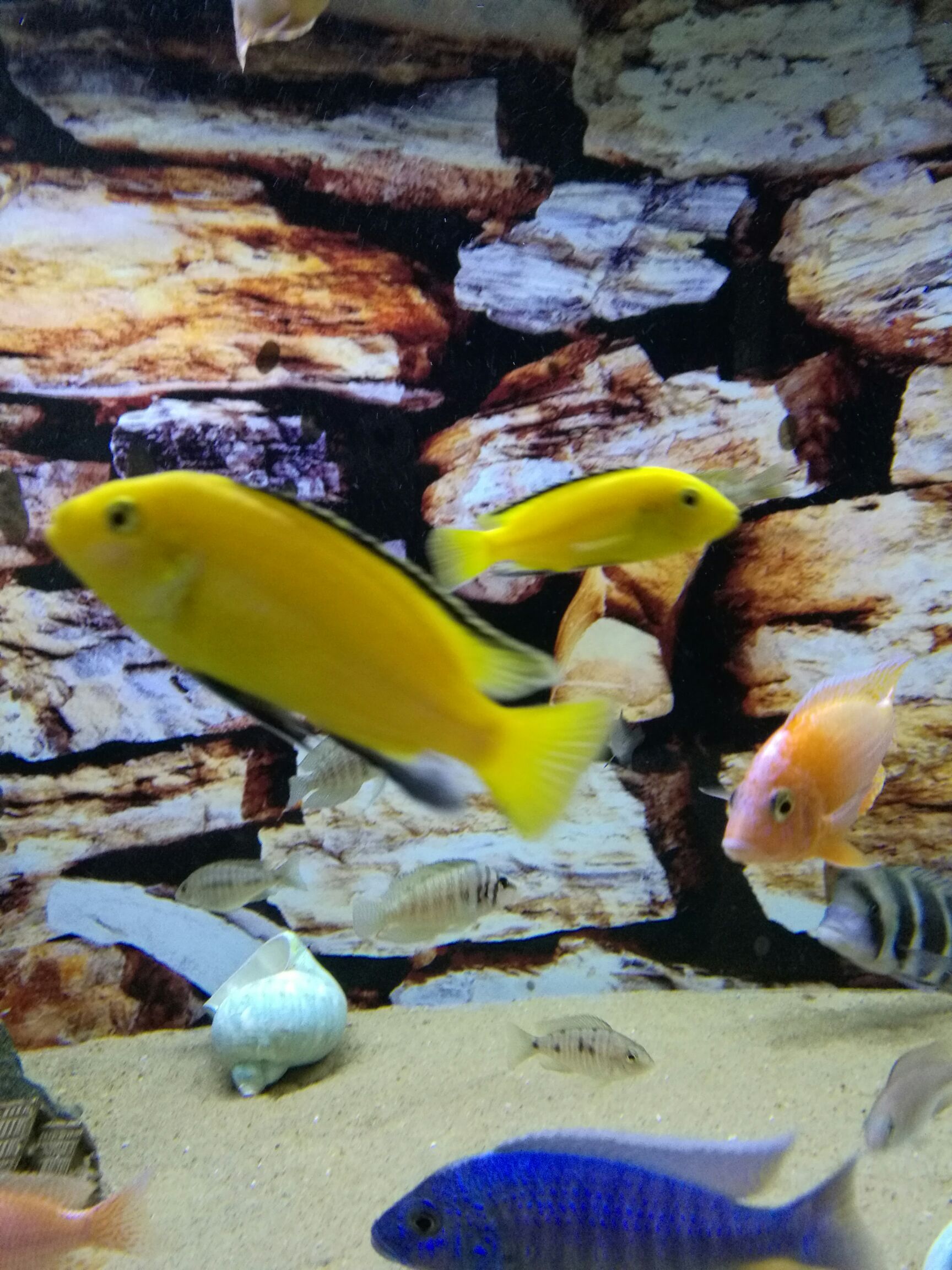 巴中水族馆早安渔夫们