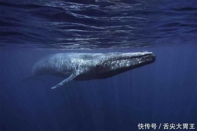 大连水族馆请问这个是什么牌子的鱼缸