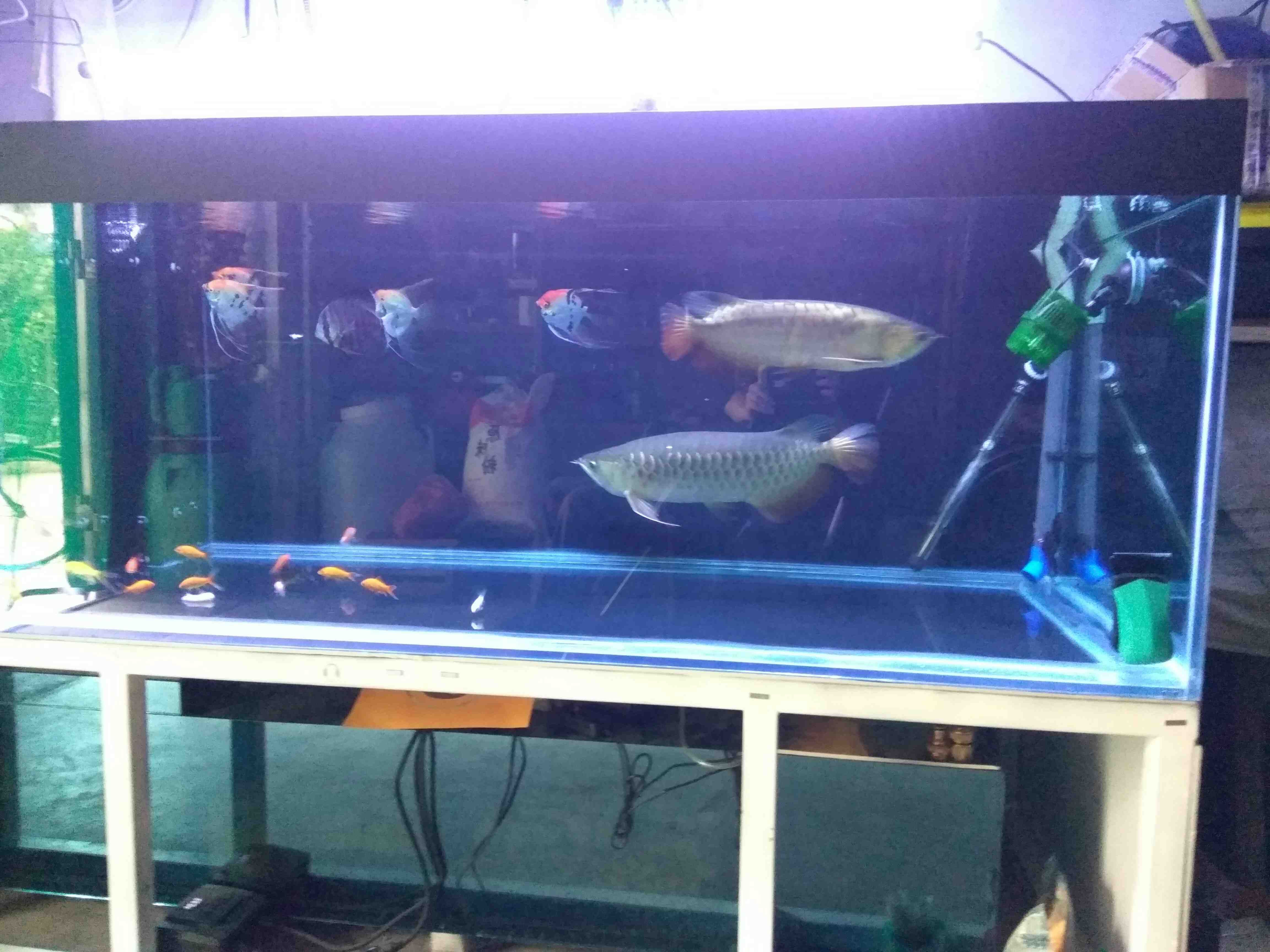 荆州水族馆喂喂鱼发几张